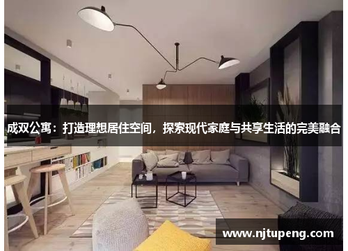 成双公寓：打造理想居住空间，探索现代家庭与共享生活的完美融合
