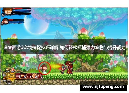 造梦西游3宠物捕捉技巧详解 如何轻松抓捕强力宠物与提升战力