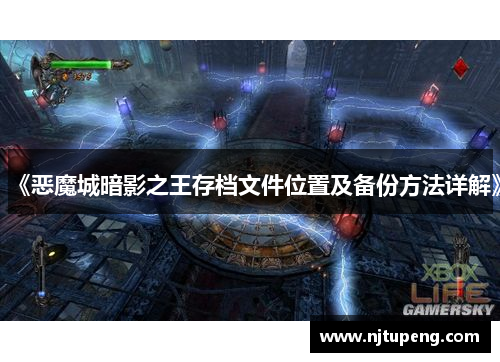 《恶魔城暗影之王存档文件位置及备份方法详解》