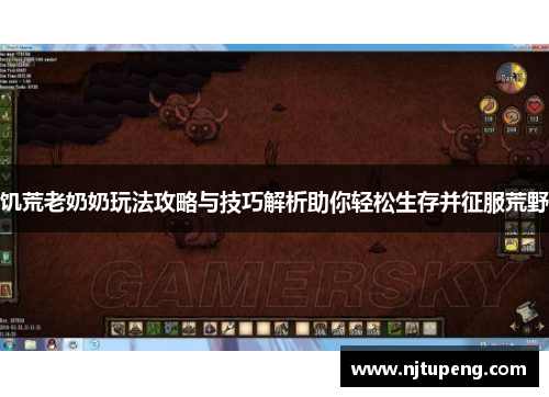 饥荒老奶奶玩法攻略与技巧解析助你轻松生存并征服荒野